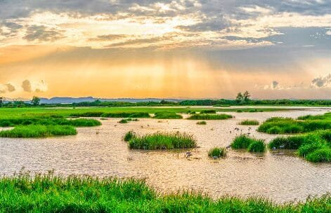 Senadores de la Comisión Quinta dicen sí a la conservación de Humedales.