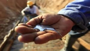 10 departamentos en alerta por uso de mercurio en minería ilegal: Procuraduría