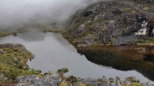 Colombia gana demanda internacional por caso Santurbán