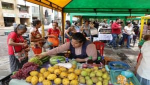 Con un total de ventas de aproximadamente 10 millones de pesos finalizó el ‘1er Mercado Campesino’