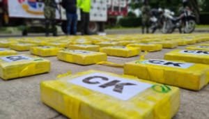 Ejército incautó más de 6000 millones de pesos en clorhidrato de cocaína