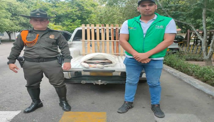 Incautan 39 kilos de pescado basa en Neiva