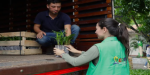 ¡Llegaron las palmas! La CAM entregará más de 44 mil plántulas para el Domingo de Ramos