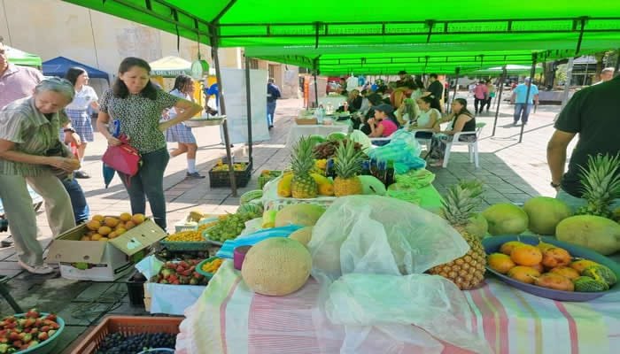 Nuevamente, la plazoleta de la alcaldía de Neiva será escenario del Mercado Campesino