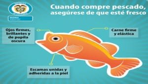 Ojo con el pescado en Semana Santa