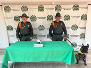 Seccional de Carabineros logra incautar 1 kilo de cocaína en Neiva