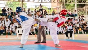 Huila vivió la fiesta del Taekwondo