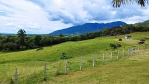 Aprobados en primer debate dos proyectos de ordenanza que permitirán avanzar en la formalización de predios rurales en el Huila