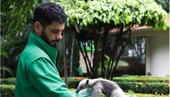 CAM: «no sacar cachorros silvestres de sus hábitats»