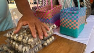 Neiva y su agenda por la paz