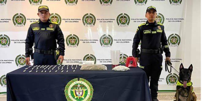 Incautación de marihuana en la Comuna Seis