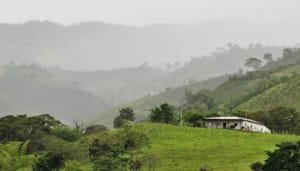 Así va el proceso de formalización de predios rurales en el Huila