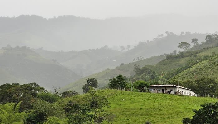 Así va el proceso de formalización de predios rurales en el Huila