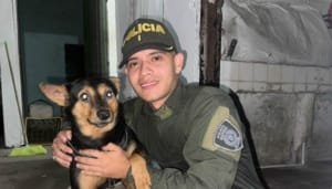 Encontrado canino en malas condiciones de salud