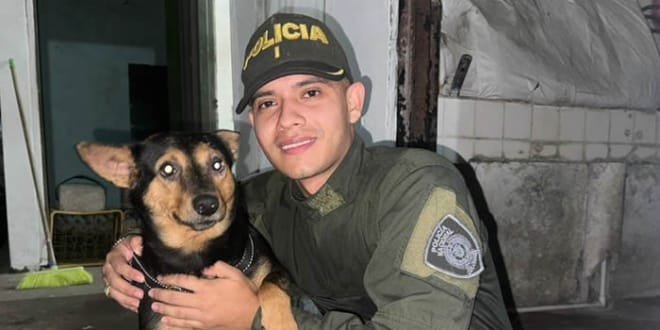 Encontrado canino en malas condiciones de salud