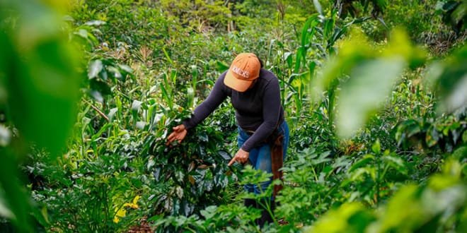 Firmado decreto para industrializar el campo