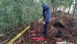 Más territorios huilenses libres de minas antipersona