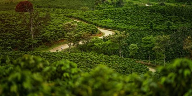 Caravana turística llega a Gigante