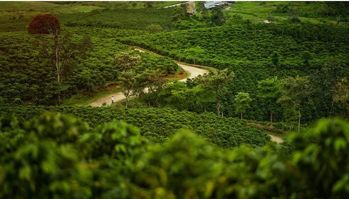 Caravana turística llega a Gigante