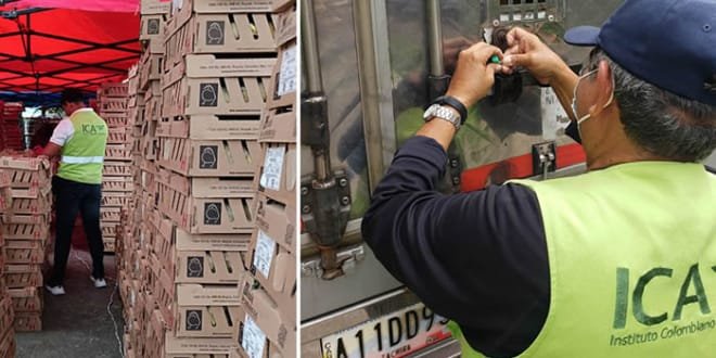 Pollo colombiano se vende en Venezuela