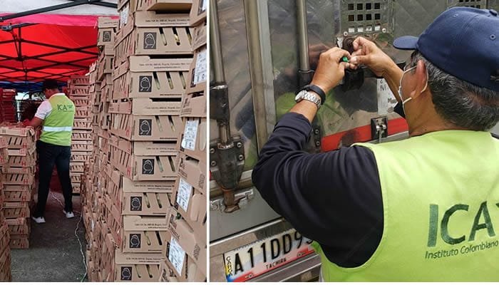 Pollo colombiano se vende en Venezuela