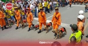 Precauciones para disfrutar del San Pedro