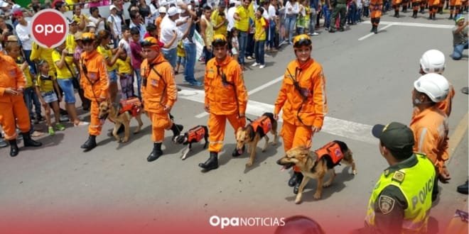 Precauciones para disfrutar del San Pedro