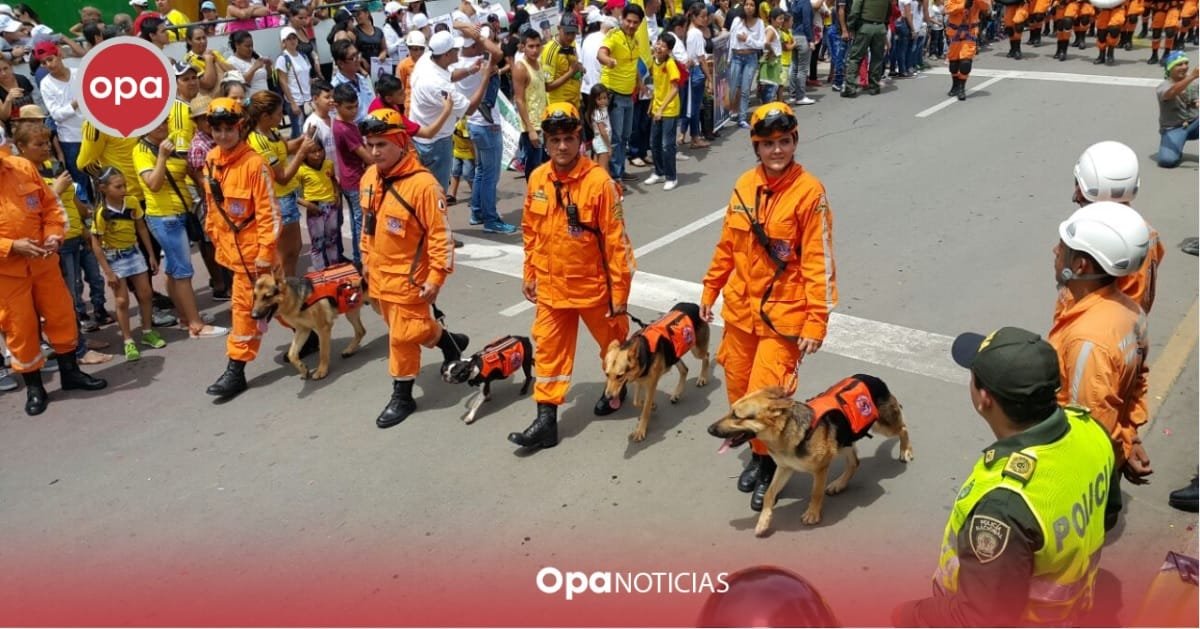 Precauciones para disfrutar del San Pedro