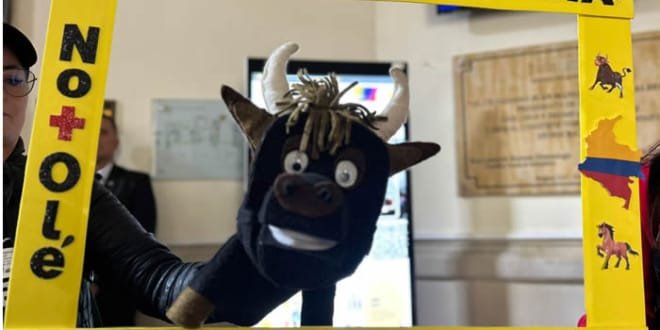 Prohibición de corridas de toros a conciliación