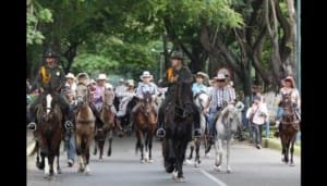 Proyecto para regular las cabalgatas