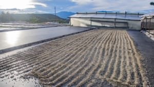 Capacitaciones en el Huila para producir café libre de deforestación