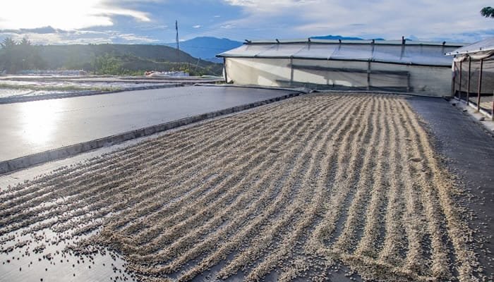 Capacitaciones en el Huila para producir café libre de deforestación