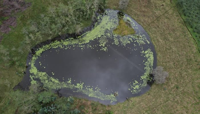 Convocatoria para proyectos de investigación ambiental
