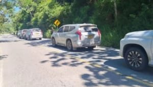 Interceptan a disidentes de las Farc que se movilizaban en camionetas de la UNP en Antioquia