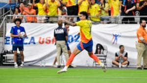Garzón y Pitalito decretarán Día Cívico por Selección Colombia