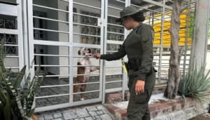 Policía atendió presunto hecho de maltrato animal