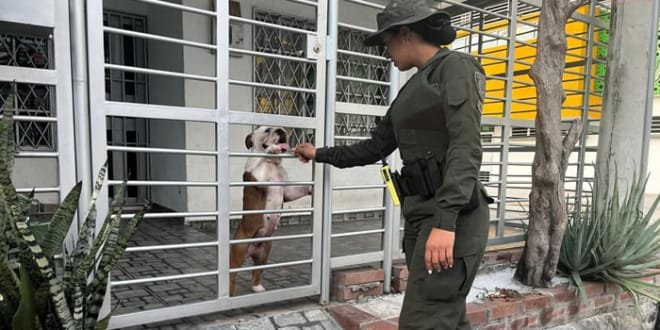 Policía atendió presunto hecho de maltrato animal