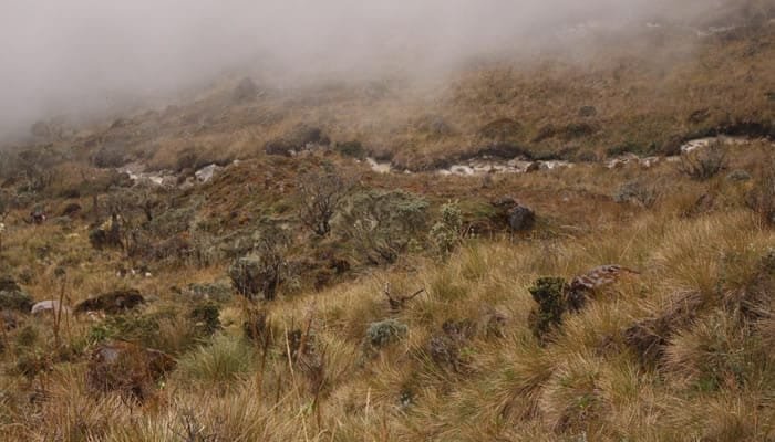 En busca de la protección de los páramos en el Huila