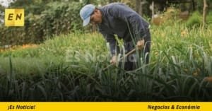 Sector agrícola consolida crecimiento en Colombia