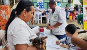 Campaña contra el dengue en la Comuna Seis