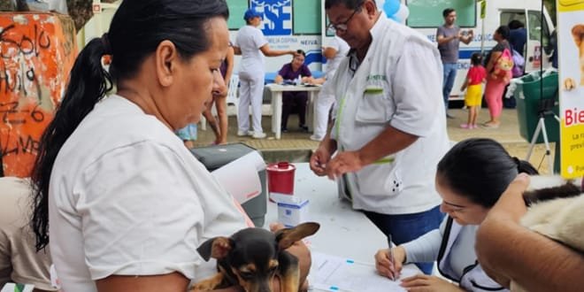 Campaña contra el dengue en la Comuna Seis