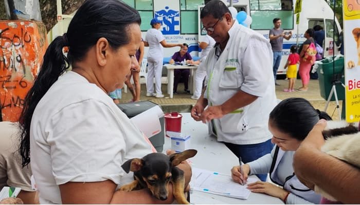 Campaña contra el dengue en la Comuna Seis