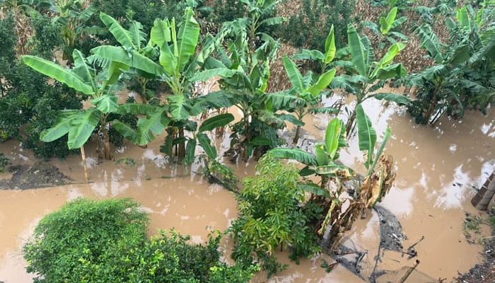 Los puntos críticos del Huila por las lluvias