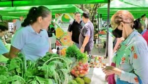 Este viernes habrá mercado campesino institucional