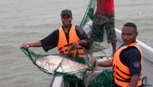 Pescadores artesanales y su gran oportunidad productiva