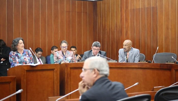 Preocupación en el Senado por la transición energética