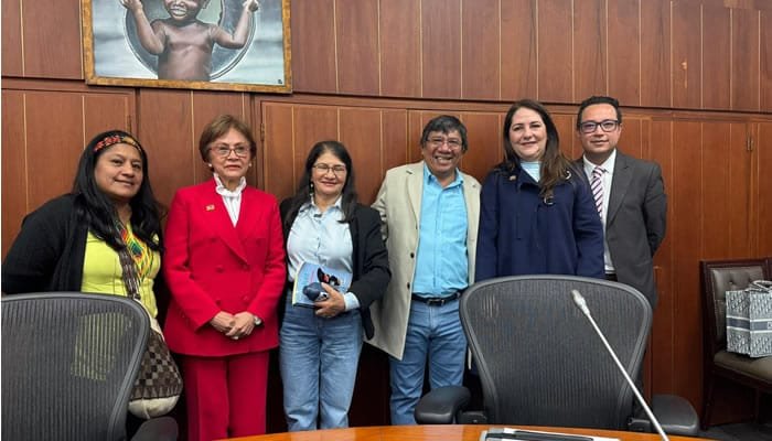 Comisión de Derechos Humanos del Senado será dirigida por un indígena