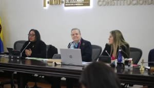 Proyecto contra el matrimonio infantil fue socializado