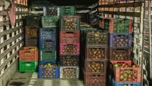 Ministerio de Agricultura y su plan frente al paro camionero