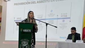 Procupación en el Senado por la Ley del Asbesto